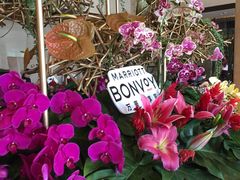 -广交会威斯汀酒店