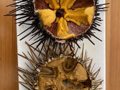 -海胆小馆(东北水饺·春柳店)