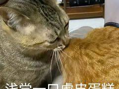 -星巴克(凯德晶萃店)