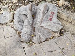 -皇藏峪国家森林公园