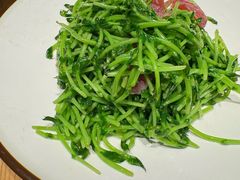 鸡油腊味炒豆苗-潮界(虹桥新天地店)