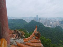 -黔灵山公园