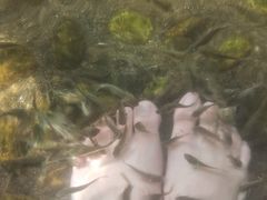 -贞山宾馆水上乐园