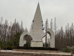 -水杉园