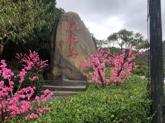 -桃花岛风景旅游区