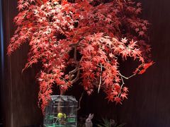 -喜湘宴·精致湖南菜(和平西桥店)