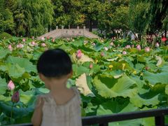 -丝绸小镇荻港古村