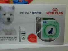 -瑞派·关忠动物医院·异宠专科·犬猫肿瘤·皮肤专科(望京店)