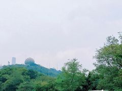 -青岛电视塔