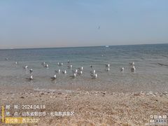 -长岛南北长山旅游景区