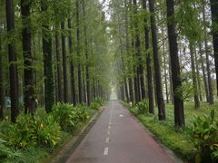 -黄海国家森林公园