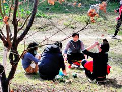 -西安汉城湖景区