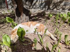 -李叔同故居纪念馆