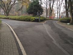 -东湖磨山景区