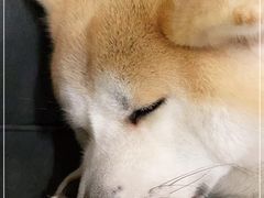 -YCHL Studios健身工作室(市二宫店)