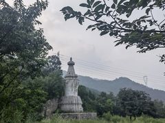 -阳台山自然风景区