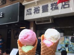 -成裕雪糕店(士多店)