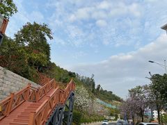 -小南山公园