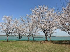 -幕燕滨江·长江观音景区