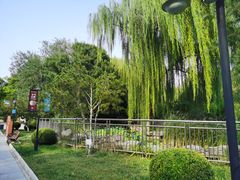 -黄村公园