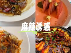 -眉州东坡(亚运村店)