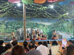-野象谷景区
