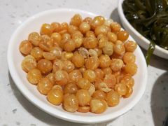 豆豆-杨记大丰收鱼庄(国贸店)