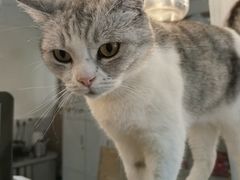 -共舞时光猫咖·狗咖(新街口店)