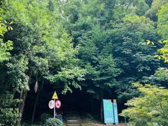 -上海佘山国家森林公园天马山园