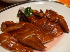 -广州富力君悦大酒店空中花园