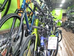 -道路口单车爱瓦士dahon大行