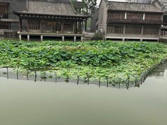 -龙潭水乡