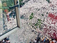 -浙江省杭州高级中学(贡院校区)