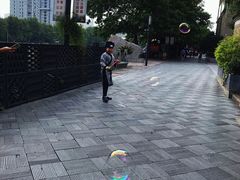 -运河游船(武林门码头)