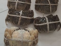 -牛New寿喜烧(中山公园龙之梦店)