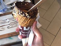 -哈根达斯(上海金山店)