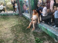 -西安秦岭野生动物园