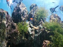 -太平洋海底世界