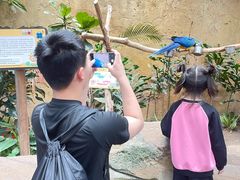 -杭州开元森泊度假乐园