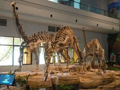 -自贡恐龙博物馆