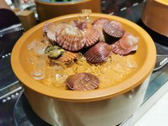 -龍歌自助小火锅(市南金茂湾店)