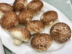 -常州丽亭酒店