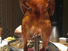 -广东道至正餐厅(区庄店)