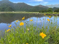 -大九湖