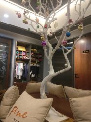 -FineYoga梵音瑜伽·普拉提