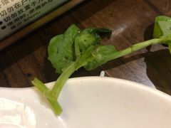 -香园自助小火锅