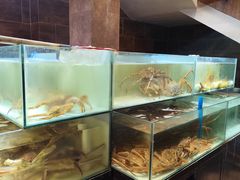 -樱之盛宴·蟹料理海鲜自助(前进大街店)