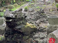 -海口火山口国家地质公园