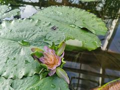 -国家植物园南园