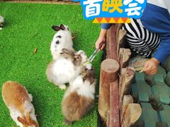 -海合安天津极地海洋公园